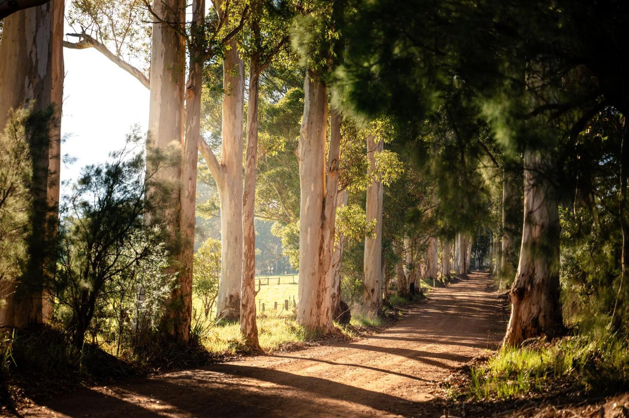 Karrak Reach Forest Retreat Denmark Eksteriør bilde